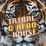 cover: Various - Tribal & Afro House