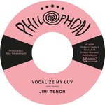 cover: Jimi Tenor - Vocalize My Luv