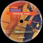 cover: Tzesar - Making Love