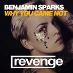 cover: Benjamin Sparks - Why You Came Not