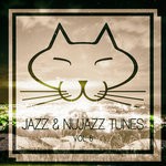 cover: Various - Jazz & Nujazz Tunes Vol 6