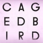 cover: The Cinematic Orchestra - A Caged Bird/Imitations Of Life