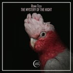 cover: Ronni Tech - The Mystery Of The Hight