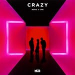 cover: Beauz & Jvna - Crazy