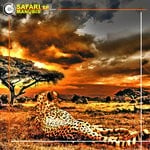 cover: Manubis - Safari