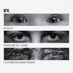 cover: N.o.h.a. - Process Of Living