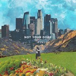 cover: Not Your Dope - Lost In The City / Holding On