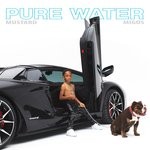 cover: Mustard - Pure Water