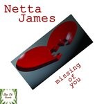 cover: Netta James - Missing Of You