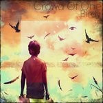 cover: Crowd Of One - Birdy