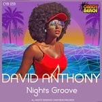 cover: David Anthony - Nights Groove