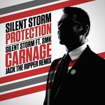 cover: Silent Storm - Protection