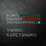 cover: Yiannis Kapetanakis - Reborn