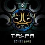 cover: Talpa - Upside Down