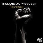 cover: Thulane Da Producer - Revenge