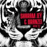 cover: Branzei|Sharam Jey - Riffer