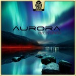 cover: Jens Buchert - Aurora Electronica