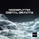 cover: Noizesplitter - Digital Gravity