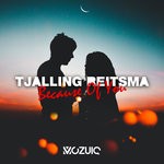 cover: Tjalling Reitsma - Because Of You