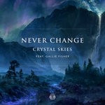 cover: Crystal Skies - Never Change