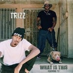 cover: T.f|Trizz - What Is This