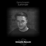 cover: Danny Snowden - Surrender