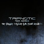 cover: Avarice|Tripnotic - The Struggle