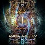 cover: Sonic Entity - Trust The Process