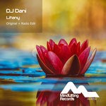 cover: Dj Dani - Litany