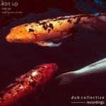 cover: Kon Up - Risk EP