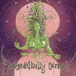 cover: Various - Psychedellically Correct