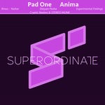 cover: Pad One - Anima (The Remixes)