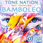 cover: Raykuba|Tonenation - Bamboleo