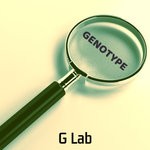 cover: Genotype - Magnify