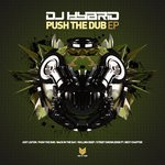 cover: Dj Hybrid - Push The Dub