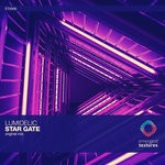 cover: Lumidelic - Star Gate