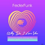 cover: Federfunk - Why Do I Love You