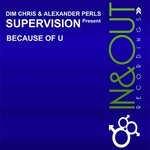 cover: Dim Chris - Because Of U (feat Alexander Perls)