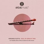 cover: Veronika Fleyta - Soul Of Apricot Tree Remixes