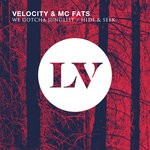 cover: Mc Fats|Velocity - We Gotcha Junglist