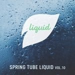 cover: Various - Spring Tube Liquid Vol 10