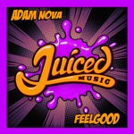 cover: Adam Nova - Feelgood