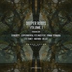 cover: Darkskye|Experimental Feelings|Leo Temet|Mathov|Relief - Deeper Roots