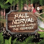 cover: Paul Norval - Rave In The Jungle (The Remixes)