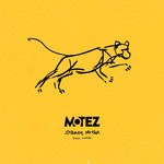 cover: Motez - Steady Motion