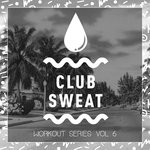 cover: Benny Bridges|Bruno Furlan|Doppe|Heider|Jonh Mayze|Miguel Faria|Nick Olivetti|Piem|Sllash|The Deepshakerz - Workout Series Vol 6