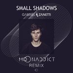 cover: Moonaddict - Small Shadows (Moonaddict Remix)