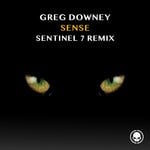 cover: Greg Downey - Sense