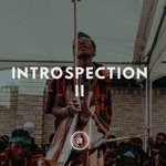 cover: Various - Introspection Part II