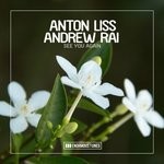 cover: Anton Liss & Andrew Rai - See You Again